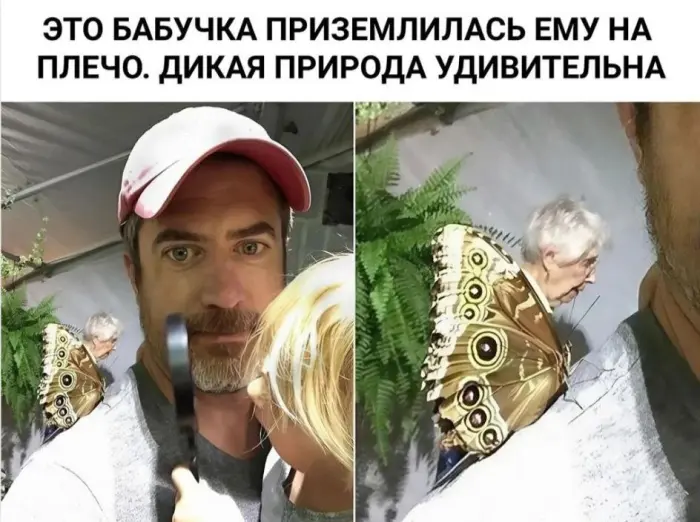 Подборка странных мемов и нелепых картинок