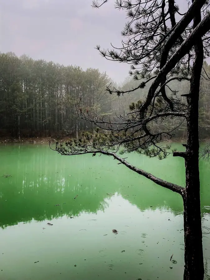 🏞 Бирюзовое озеро в тумане: мистический уголок горного Крыма