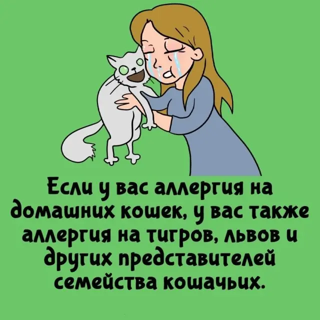 Это знают далеко не все