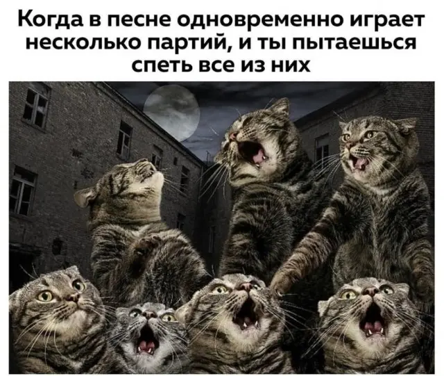 Юмор, картинки и всё, что заставит улыбнуться
