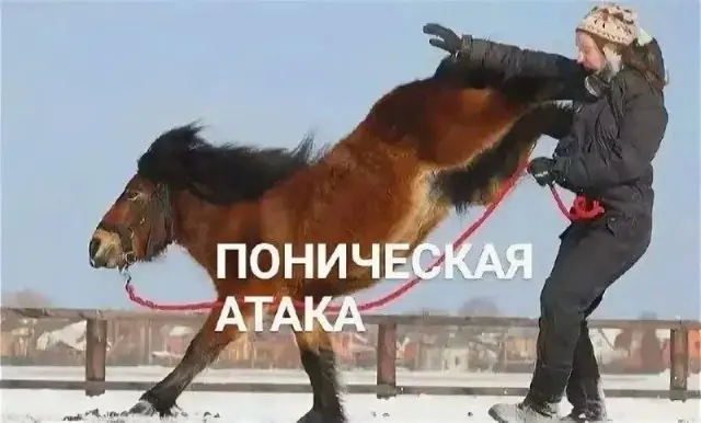 Юмор в картинках: подборка на каждый день