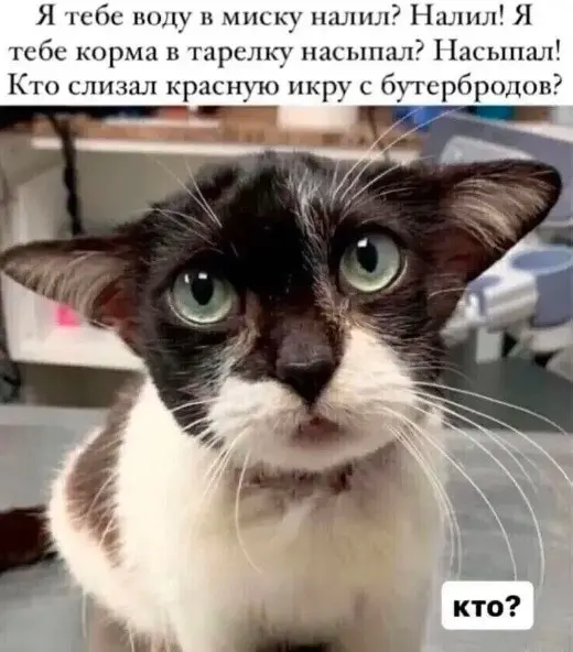 Когда хочется просто поржать