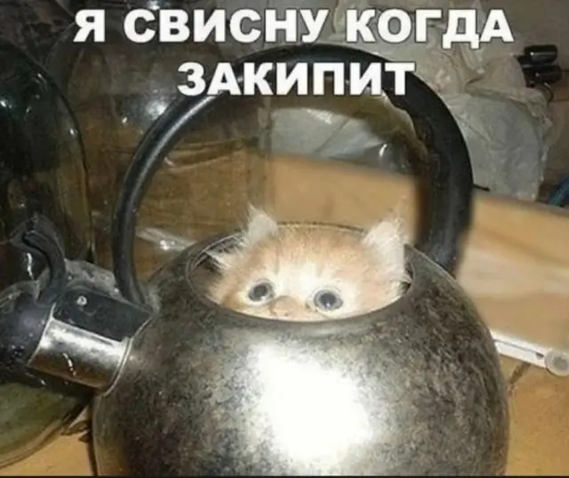 Когда хочется просто посмеяться 😂