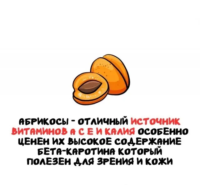Любопытные факты