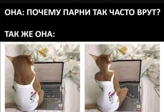 Лучшие мемы и приколы. Немного с историей, но всё ещё смешно