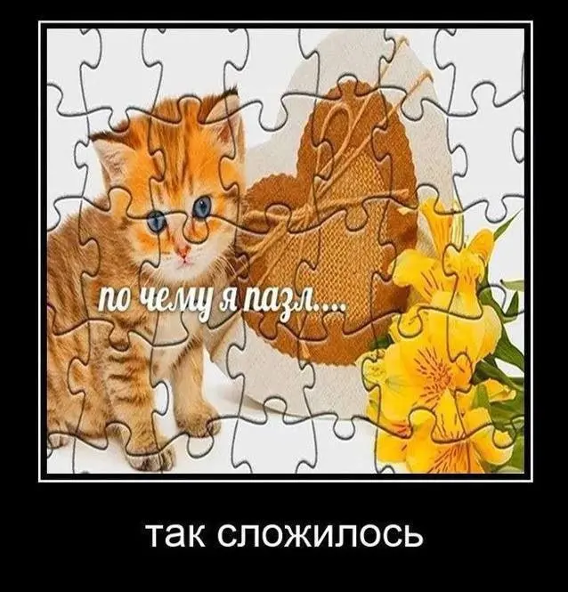 Мемы, шутки и картинки, мимо которых невозможно пройти
