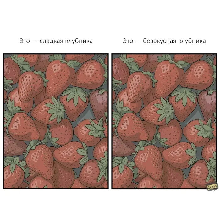 Гид по выбору ягод для тех, кто устал ошибаться
