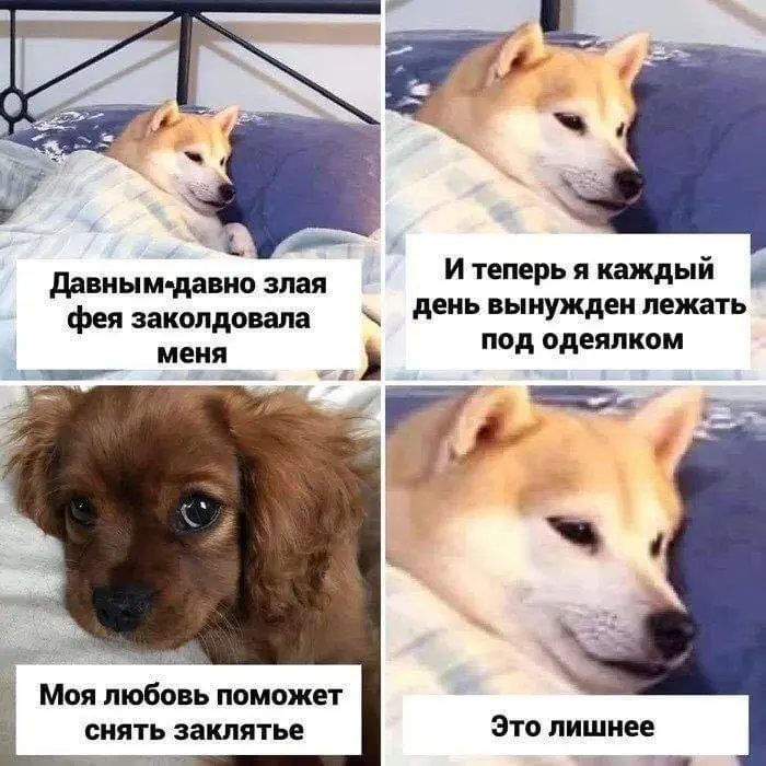 Подборка юмора для отличного настроения