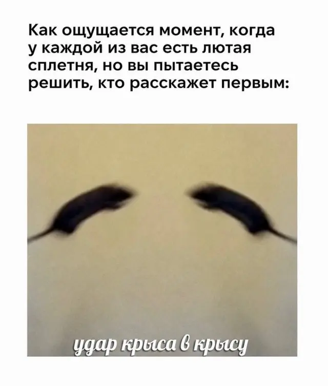 Подборка мемов и шуток для хорошего настроения