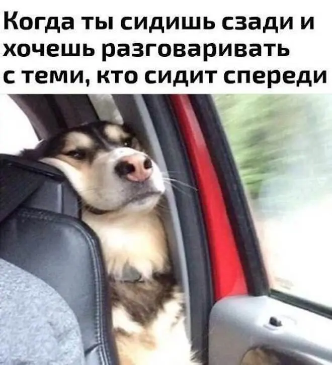 Подборка смеха