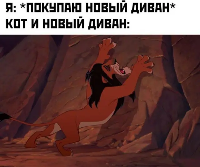 Порция хорошего настроения: мемы, шутки и приколы