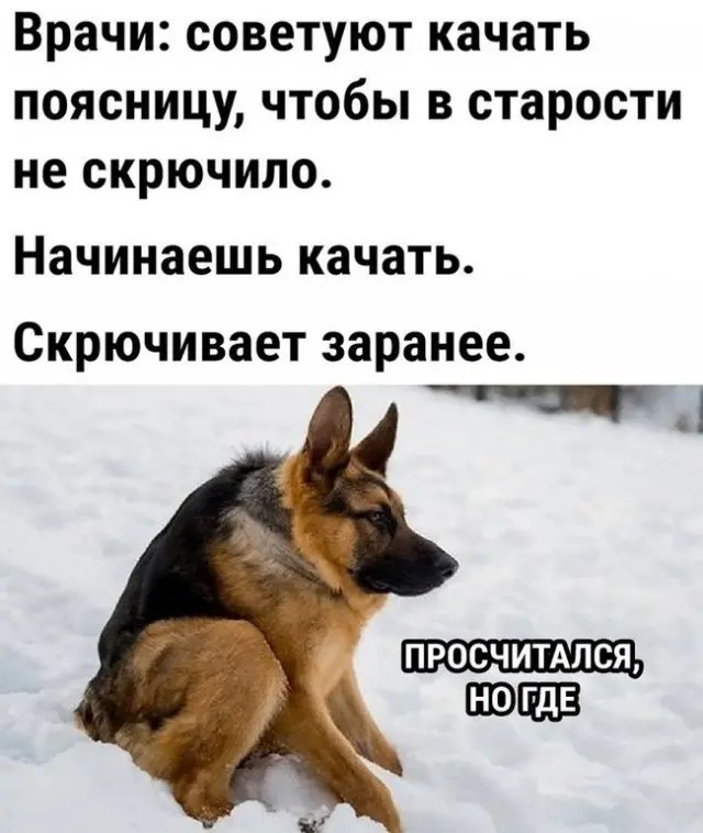 Порция хорошего настроения в мемах и картинках