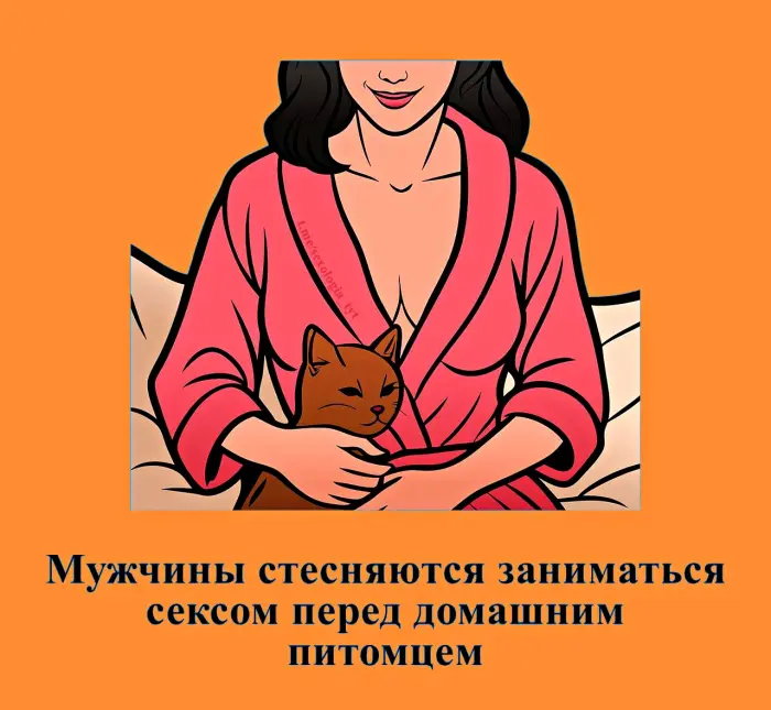 Сексуальная правда: 15 фактов, которым не научат в школе #394