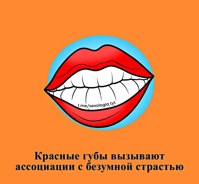 Сексуальная правда: 15 фактов, которым не научат в школе #396