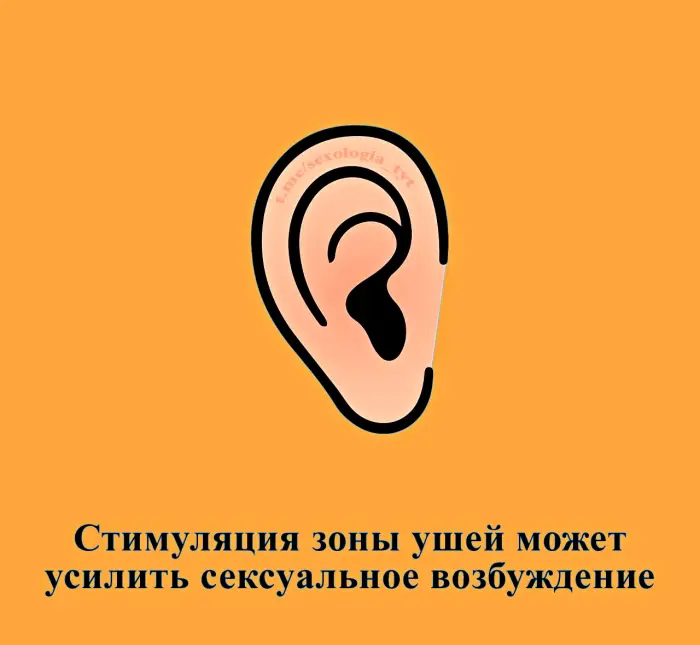 Сексуальная правда: 15 фактов, которым не научат в школе #424