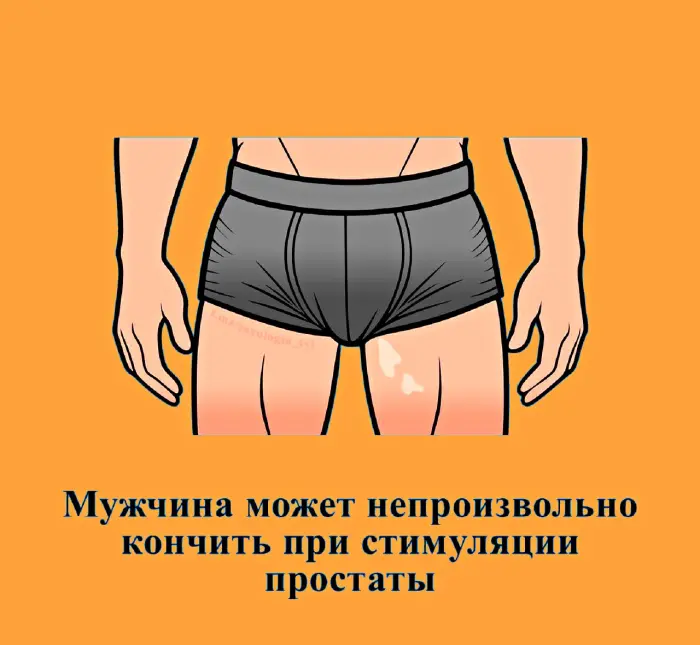 Сексуальная правда: 15 фактов, которым не научат в школе #428
