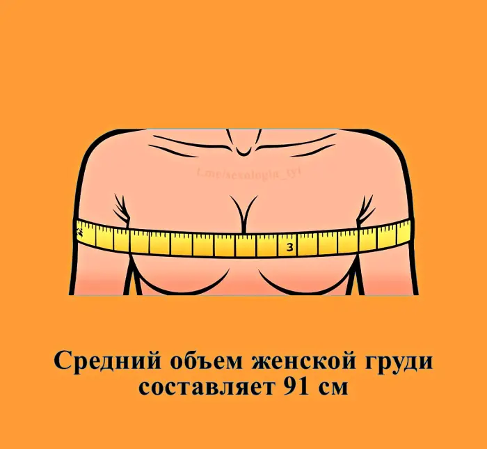 Сексуальная правда: 15 фактов, которым не научат в школе #443