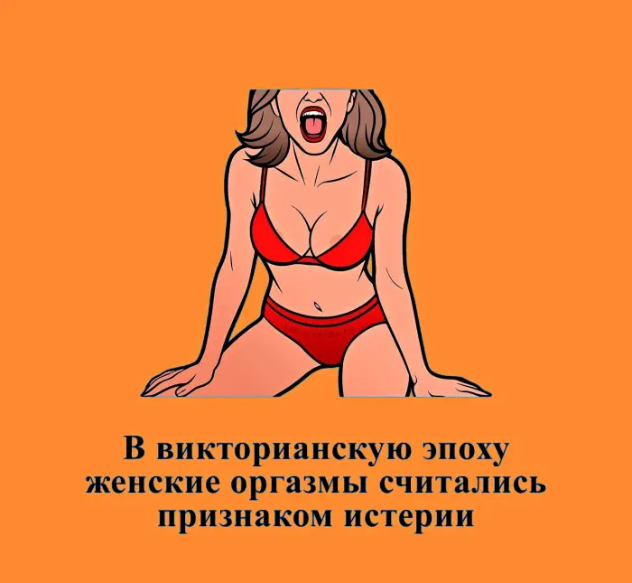 Сексуальная правда: 15 фактов, которым не научат в школе #450