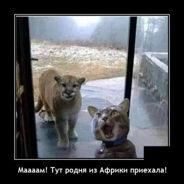 Смешно, странно, но очень жизненно