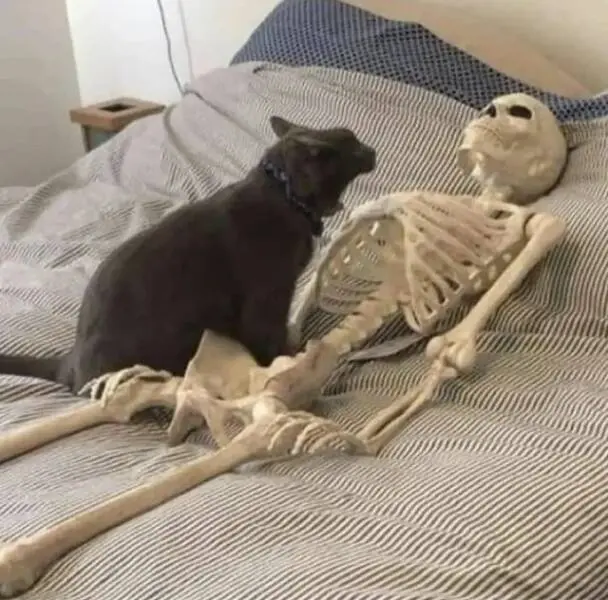 Смешной пост