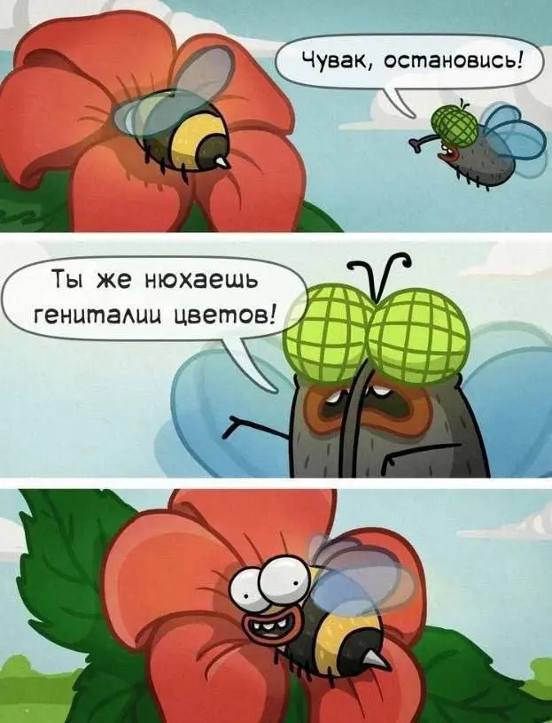 Свежая порция мемов и веселых картинок