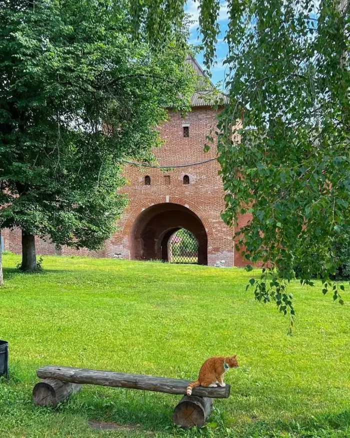 🏰 Зарайский кремль 🛡 Самый маленький каменный кремль России