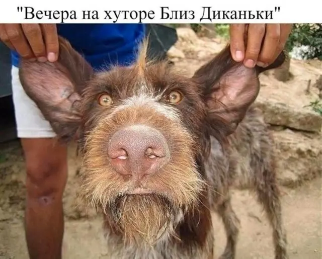 Просто подборка смешных картинок