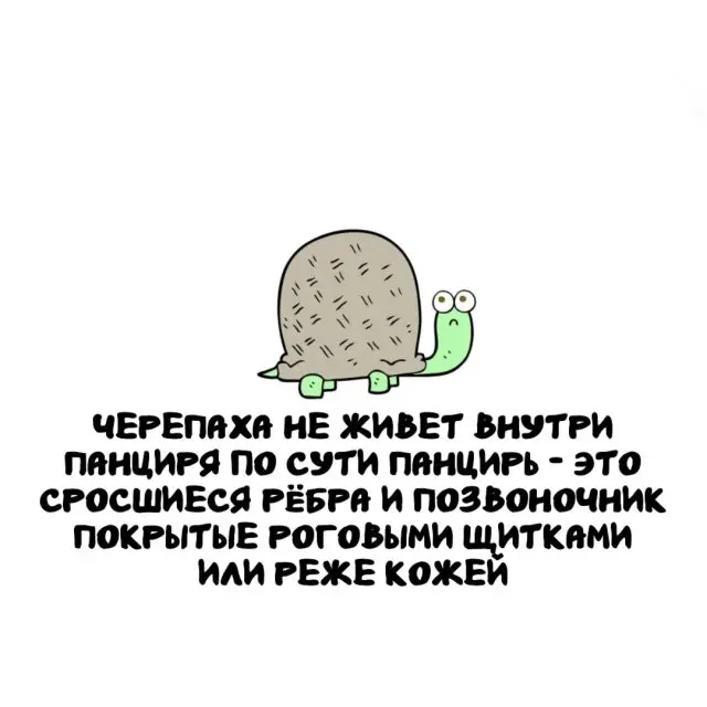 Познавательные факты на любой случай