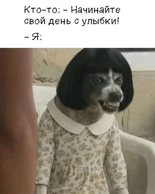 Доза хорошего настроения в картинках