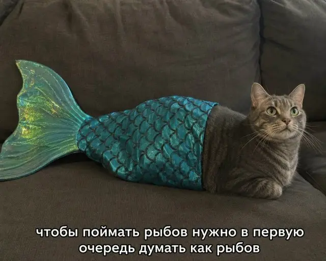 Доза юмора в картинках