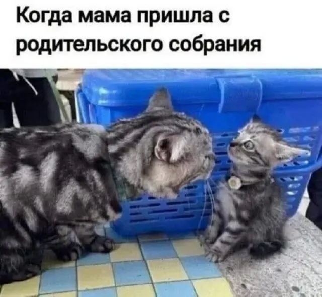 Юмор в картинках: немного, но смешно