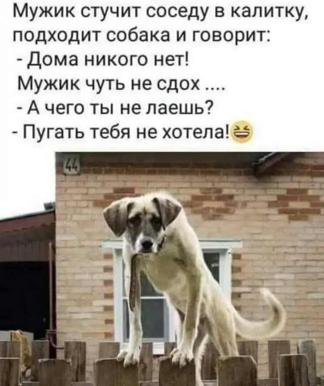 Когда хочется посмеяться: подборка забавных картинок