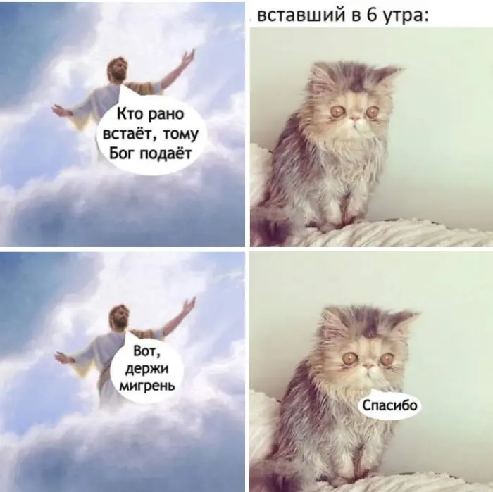 Порция юмора: просто смешные картинки