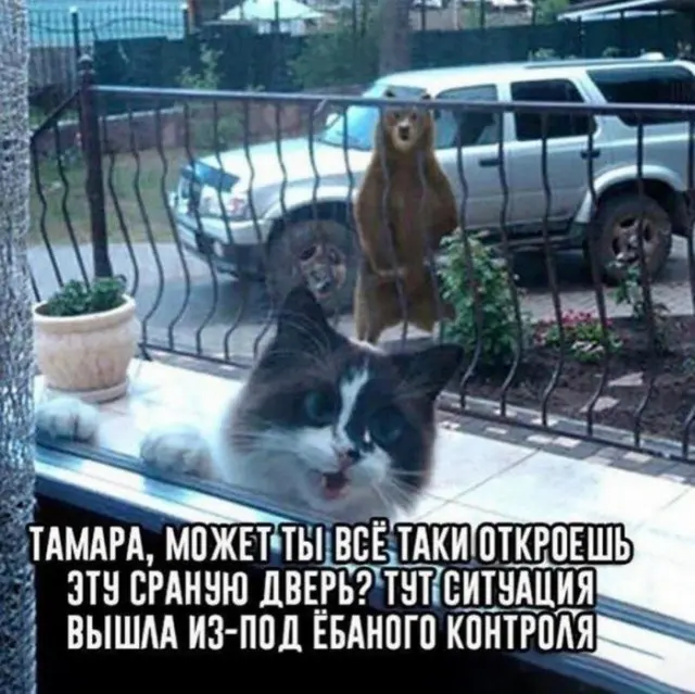 Порция юмора в картинках: немного, зато от души
