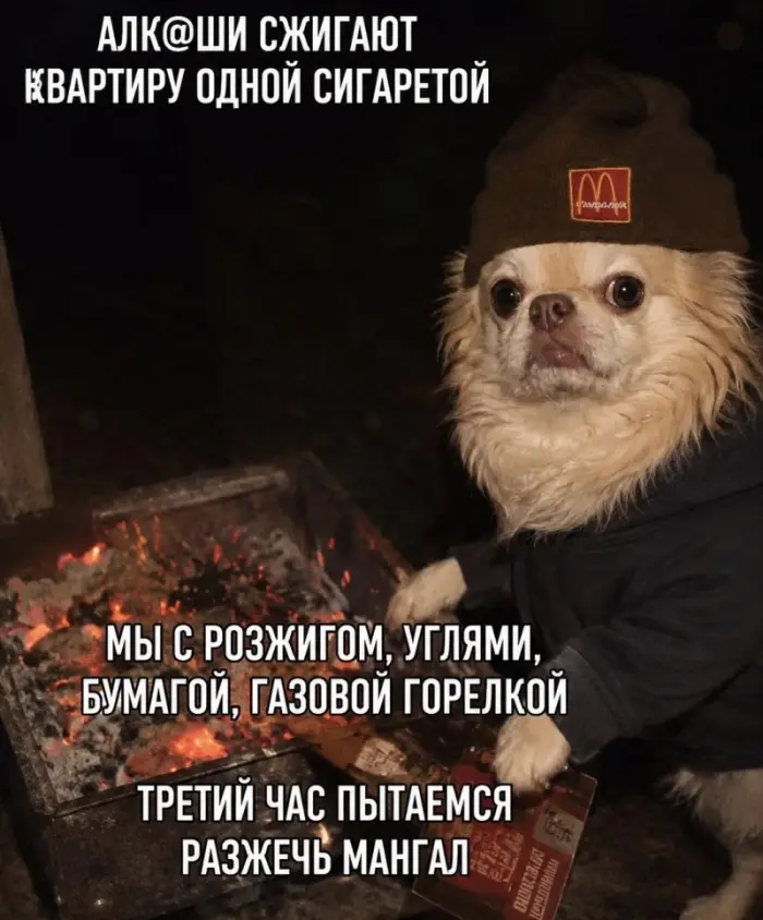 Порция мемов для хорошего настроения