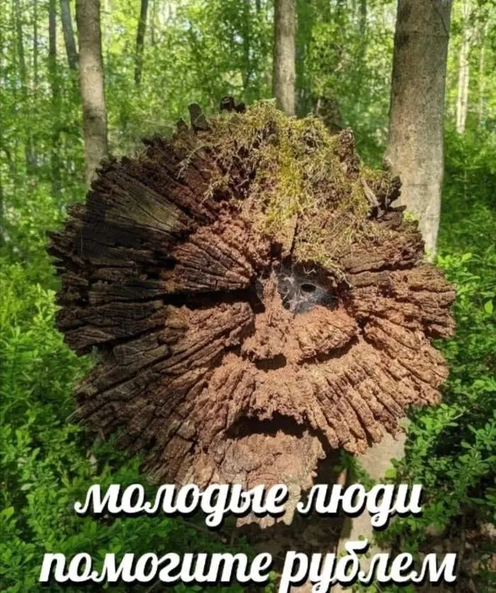Просто смешные картинки для хорошего настроения