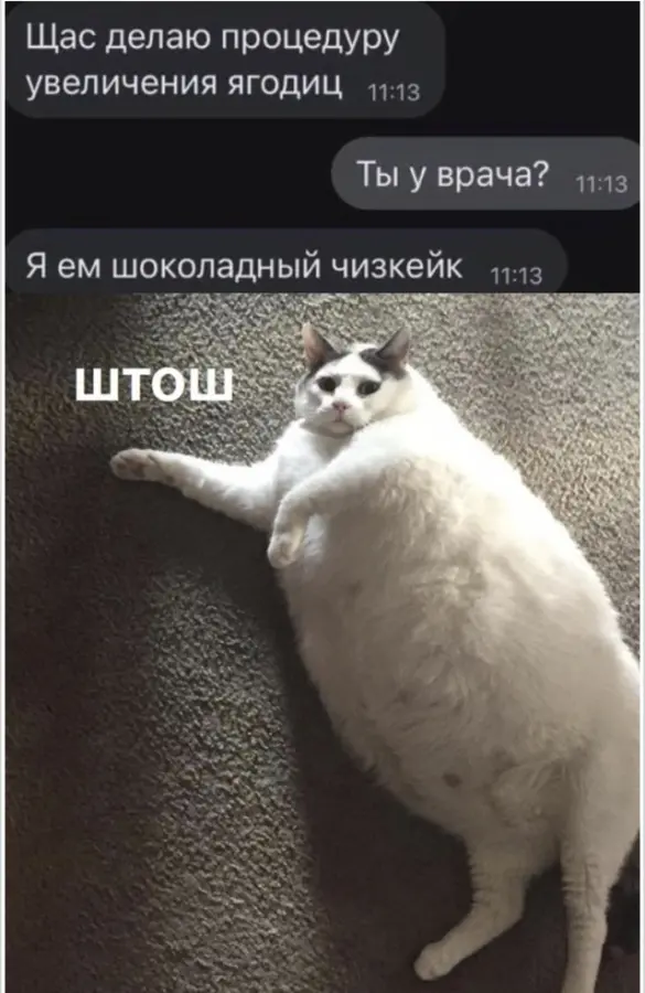 Смешные картинки: немного юмора на каждый день