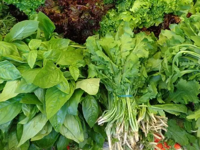 Еда для вечной молодости продукты, замедляющие старение
