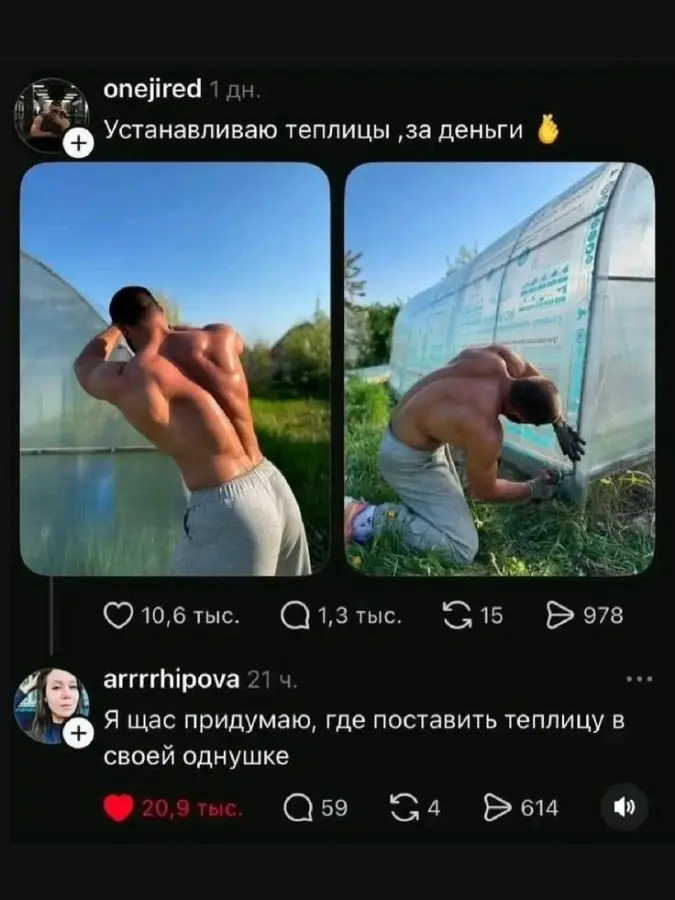 Мемный беспредел