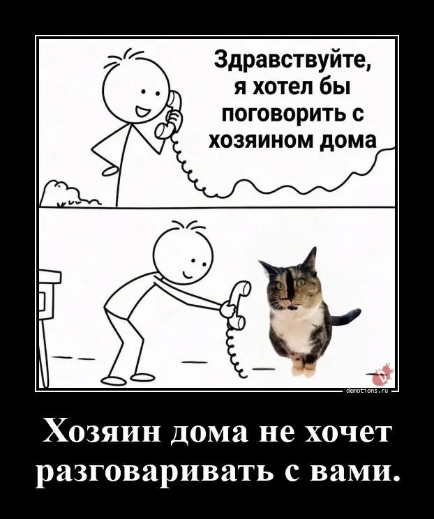 Демотиваторы, после которых день уже не кажется таким плохим
