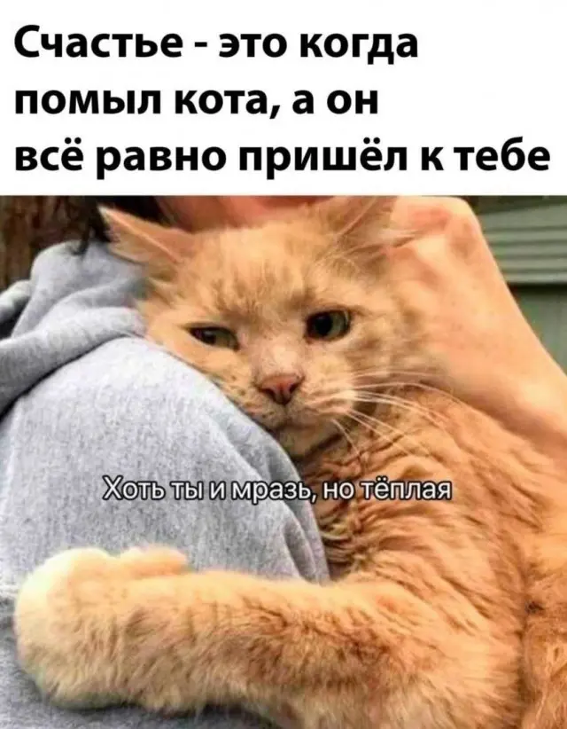 Доза смеха: картинки на любой случай
