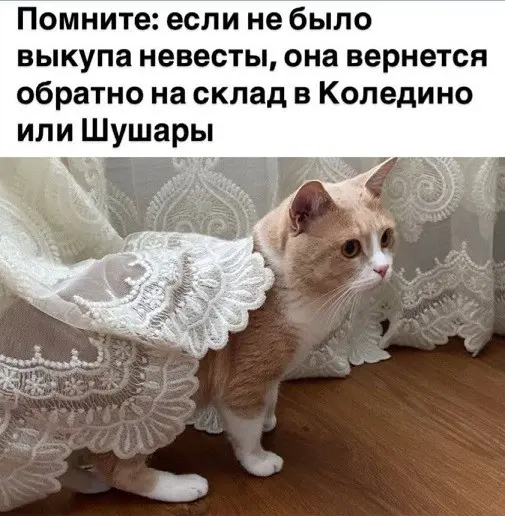 Эти картинки явно создавались не для серьёзных людей