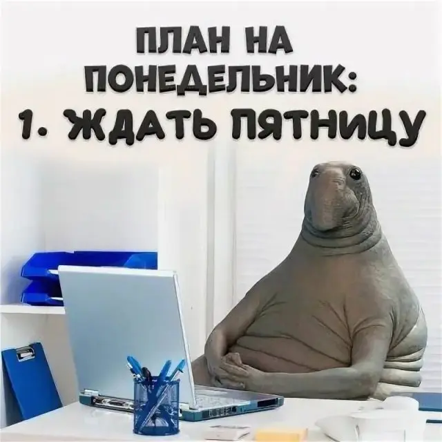 Юмор без лишних слов: просто смотрите