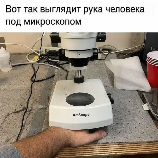 Юмор подоспел: свежая порция смешного