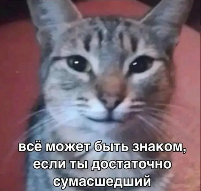 Картинки, которые внезапно сделали день лучше
