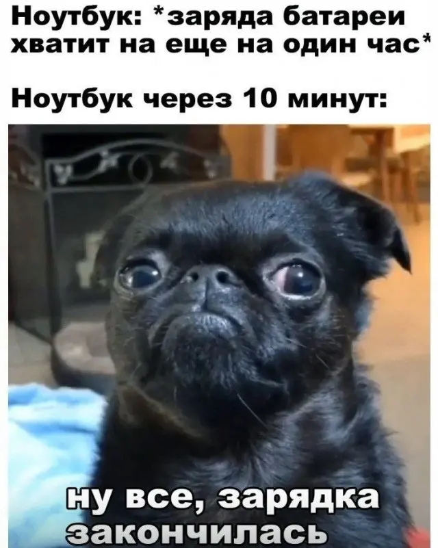 Немного юмора перед тем, как снова делать серьёзный вид