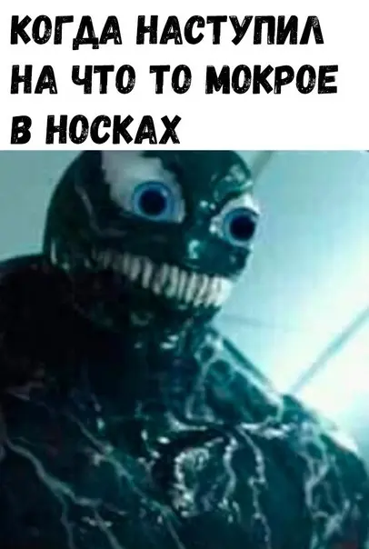 Опять эти интернеты