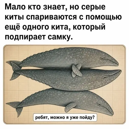 Порция смешных картинок и мемов
