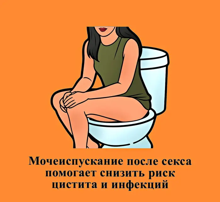 Сексуальная правда: 15 фактов, которым не научат в школе #463