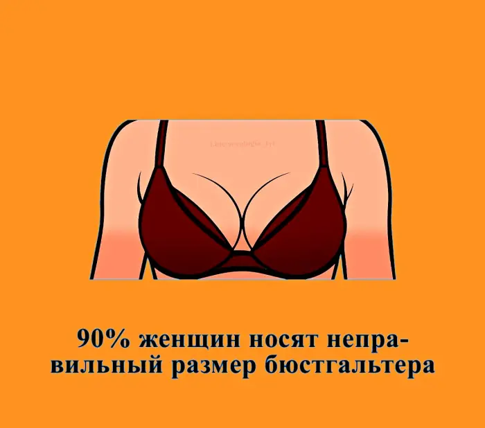 Сексуальная правда: 15 фактов, которым не научат в школе #465